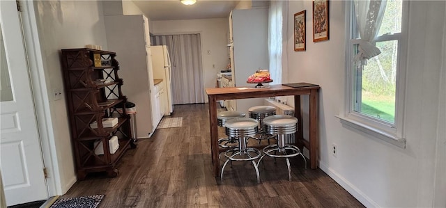 hallway with dark hardwood / wood-style floors