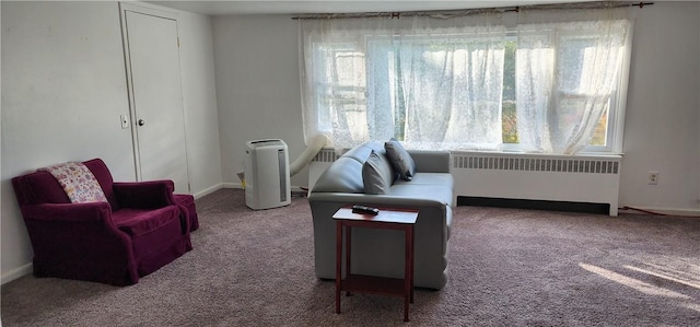 living area with carpet and radiator heating unit