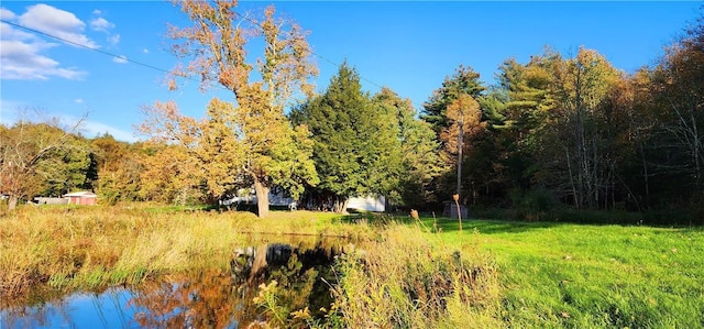 view of landscape featuring a water view