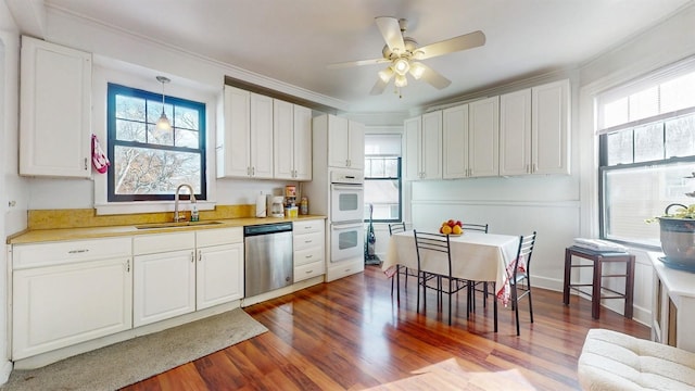 kitchen with dishwasher, a wealth of natural light, and sink