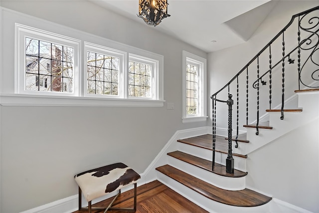 stairway with hardwood / wood-style flooring