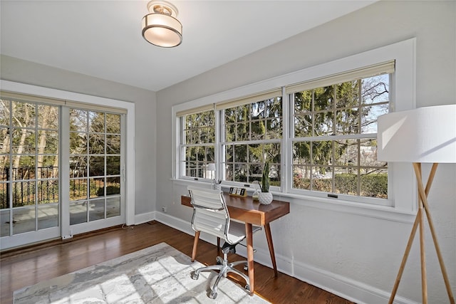 office space with dark hardwood / wood-style floors