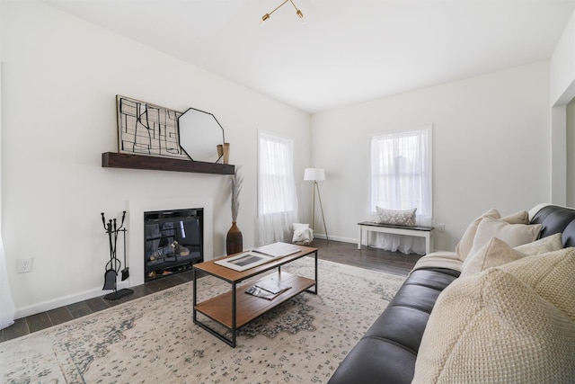 living room featuring wood-type flooring