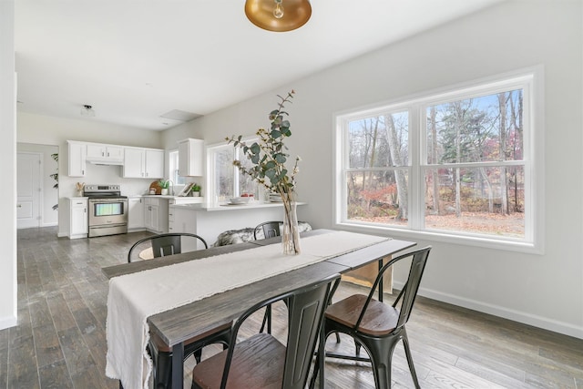 dining area featuring dark hardwood / wood-style flooring