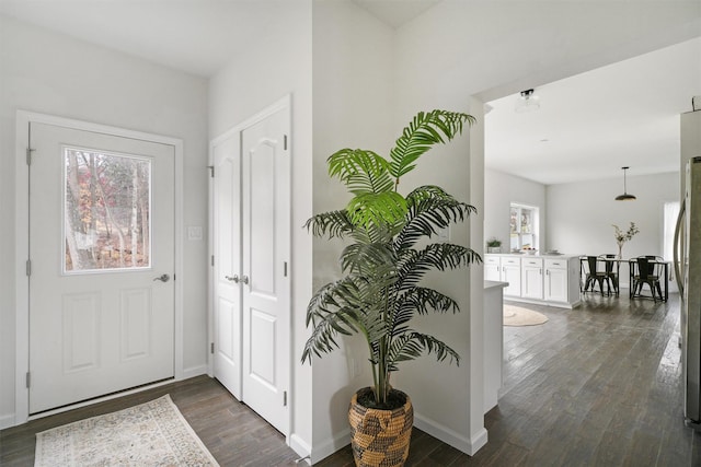 entryway with dark hardwood / wood-style floors