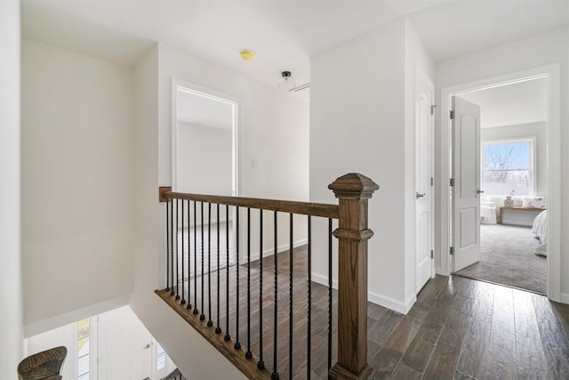 corridor with dark hardwood / wood-style flooring