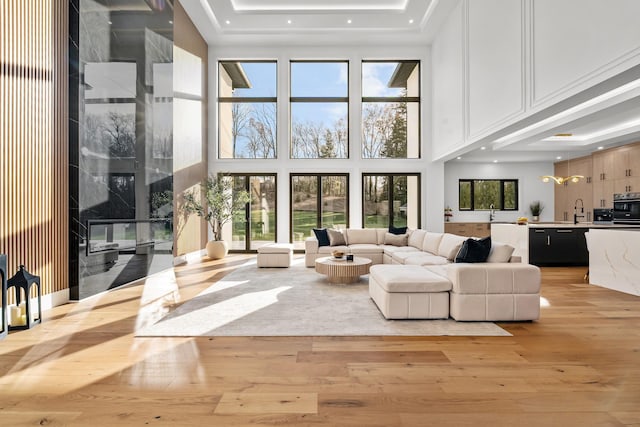 living room with a raised ceiling, sink, and light hardwood / wood-style flooring