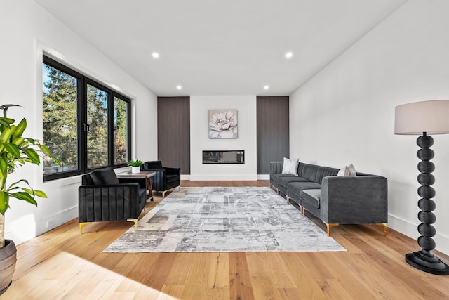 living room featuring light wood-type flooring