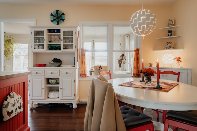 dining room featuring dark wood-type flooring