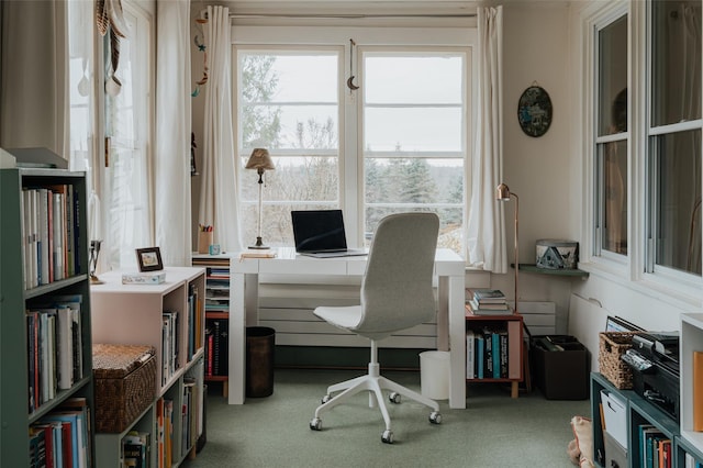 office area featuring carpet flooring