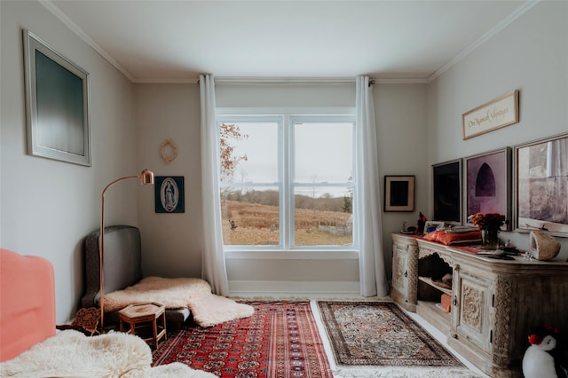 living area featuring crown molding and plenty of natural light