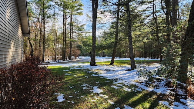 view of snowy yard