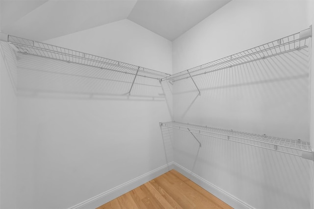 spacious closet featuring hardwood / wood-style floors