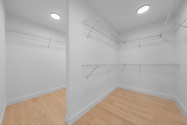 walk in closet featuring hardwood / wood-style floors