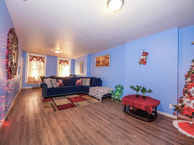 living room featuring dark wood-type flooring