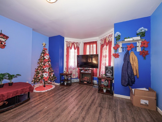 living room with a fireplace and hardwood / wood-style flooring