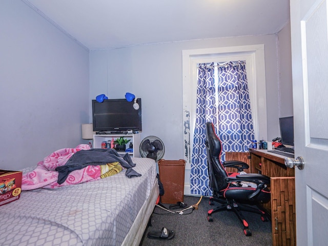 bedroom with carpet flooring