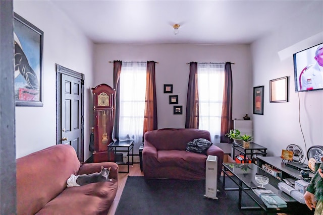 living room with dark hardwood / wood-style floors