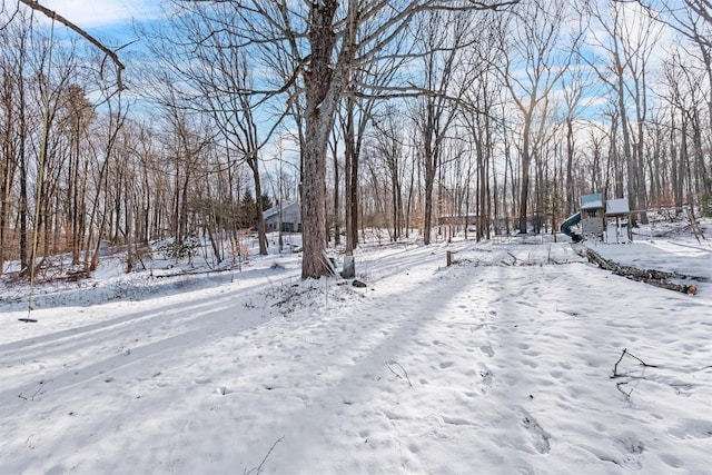 view of yard covered in snow