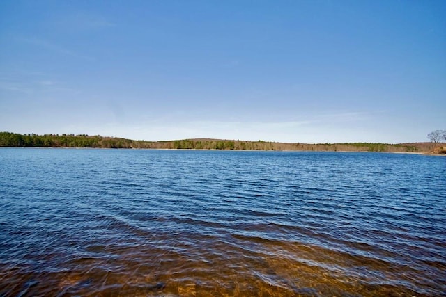 181 Starlight Rd, Monticello, NY 12701 - view of water feature