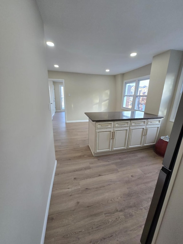 kitchen featuring light hardwood / wood-style flooring