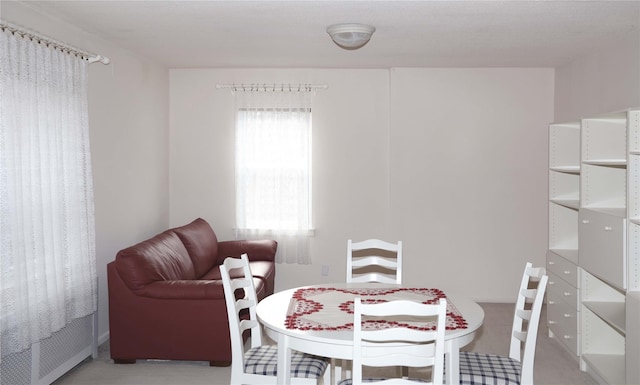 dining room with plenty of natural light