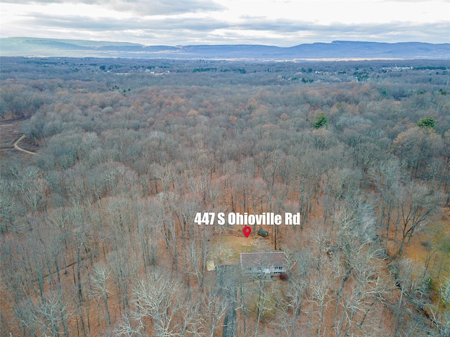 drone / aerial view with a mountain view