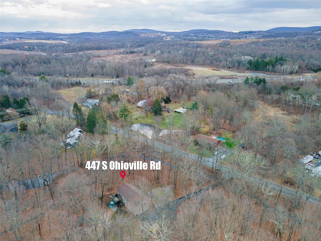 birds eye view of property featuring a mountain view