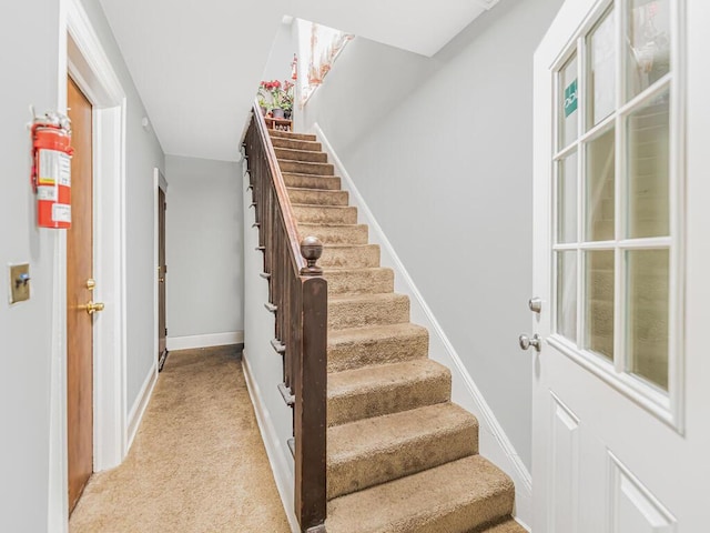 stairs with carpet floors