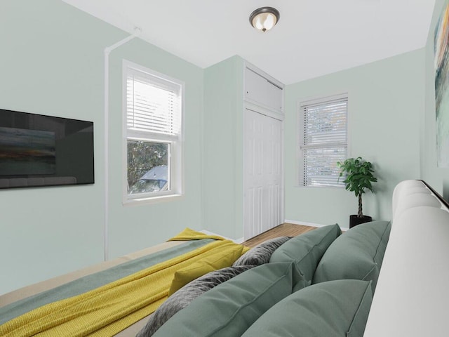 bedroom with a closet and wood-type flooring