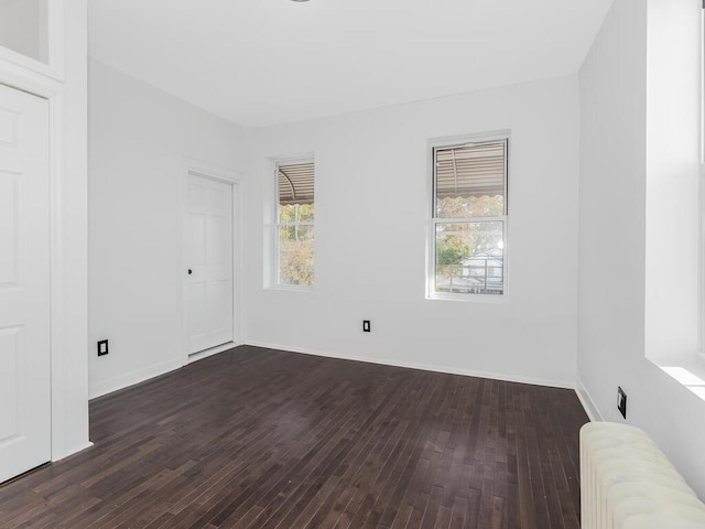 spare room featuring radiator heating unit, dark hardwood / wood-style floors, and a healthy amount of sunlight