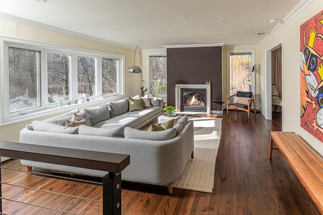 living room with ornamental molding, a warm lit fireplace, and dark wood finished floors