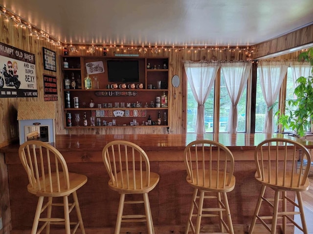 bar featuring wood walls