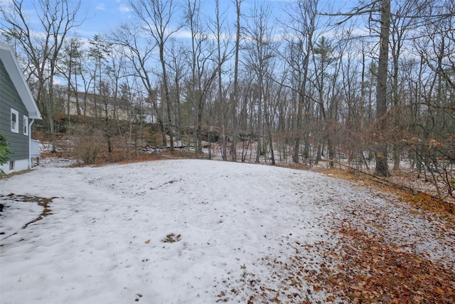 view of yard layered in snow