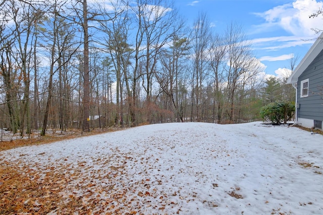 view of yard covered in snow