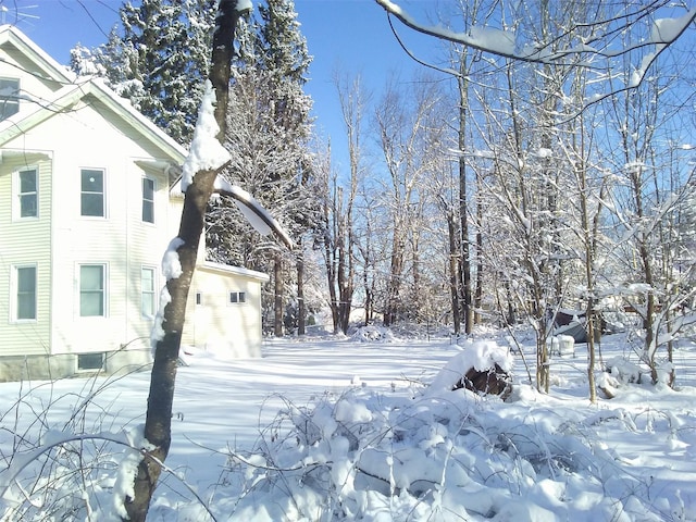 view of snowy yard