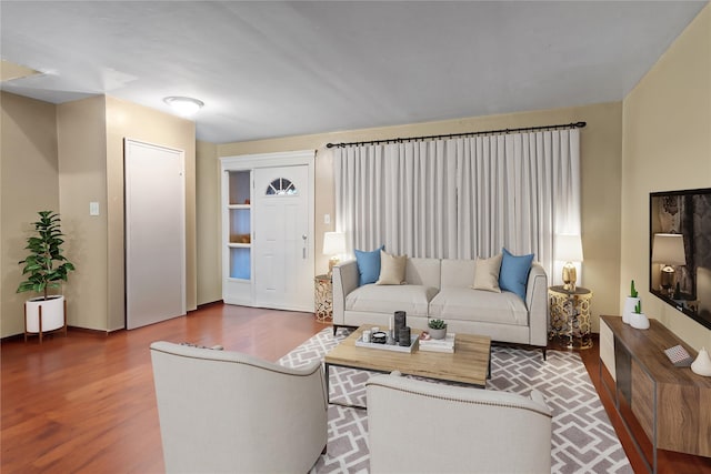 living room featuring wood-type flooring