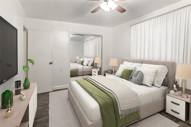 bedroom with ceiling fan, dark hardwood / wood-style flooring, and a closet