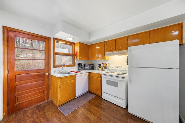 kitchen with white appliances, sink, and dark wood-type flooring