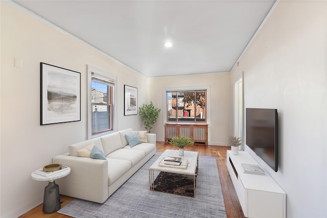 living room featuring light hardwood / wood-style floors and ornamental molding