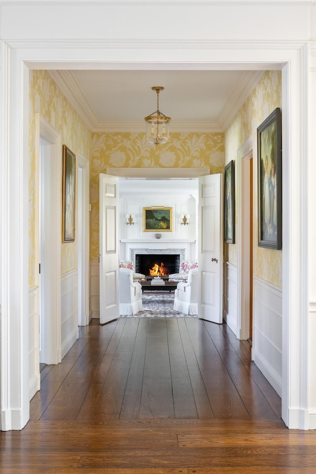 corridor featuring dark wood-type flooring and crown molding