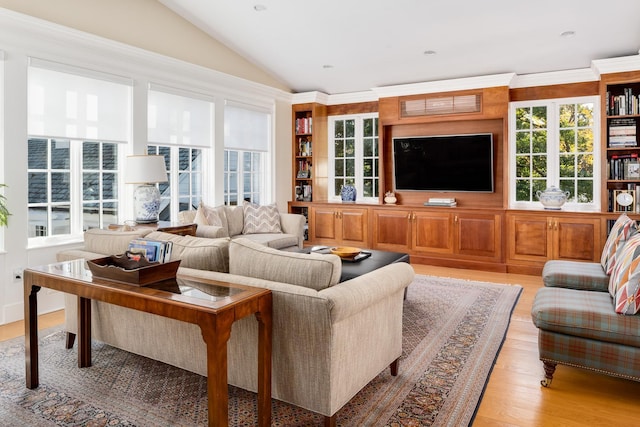 living room with vaulted ceiling, plenty of natural light, and light hardwood / wood-style flooring