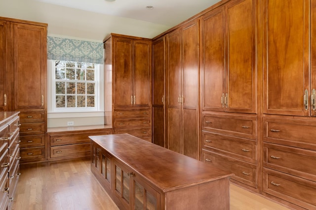 walk in closet featuring light wood-type flooring