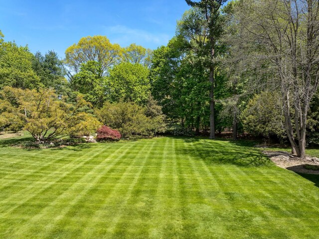 177 Old Briarcliff Rd, Briarcliff Manor, NY 10510 - view of yard
