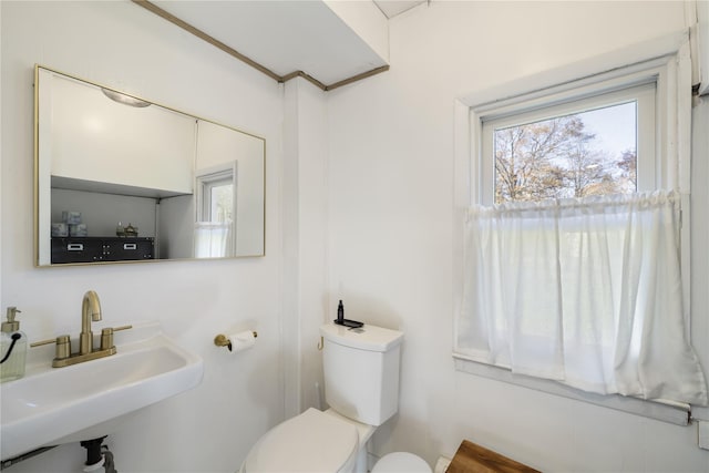 bathroom with toilet and sink