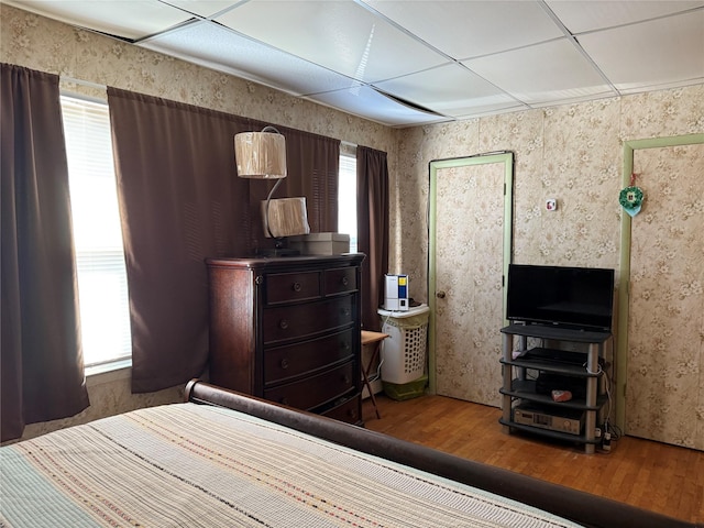 bedroom featuring hardwood / wood-style floors, a paneled ceiling, and multiple windows