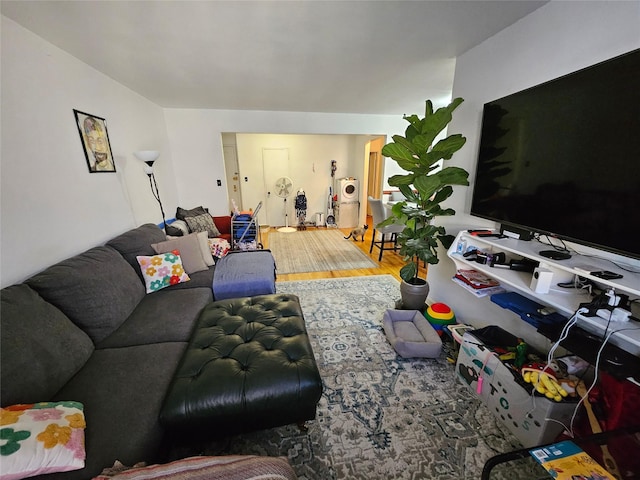 living room featuring wood-type flooring