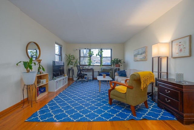 living room featuring wood-type flooring