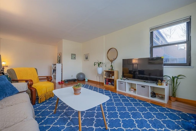 living room featuring hardwood / wood-style floors