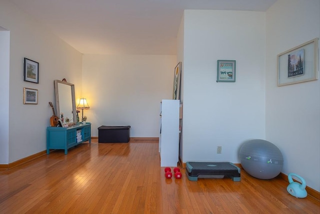 exercise area featuring light wood-type flooring